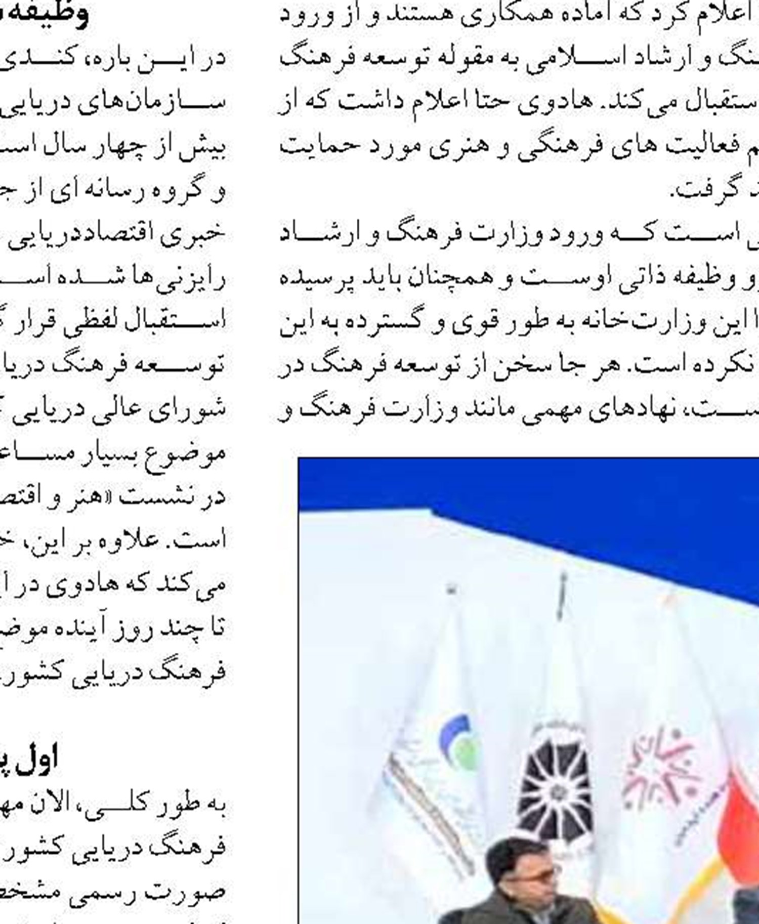  برای کاهش تلفات پرندگان شیرجه‌رو  در تورهای صیادی اقدام کنید