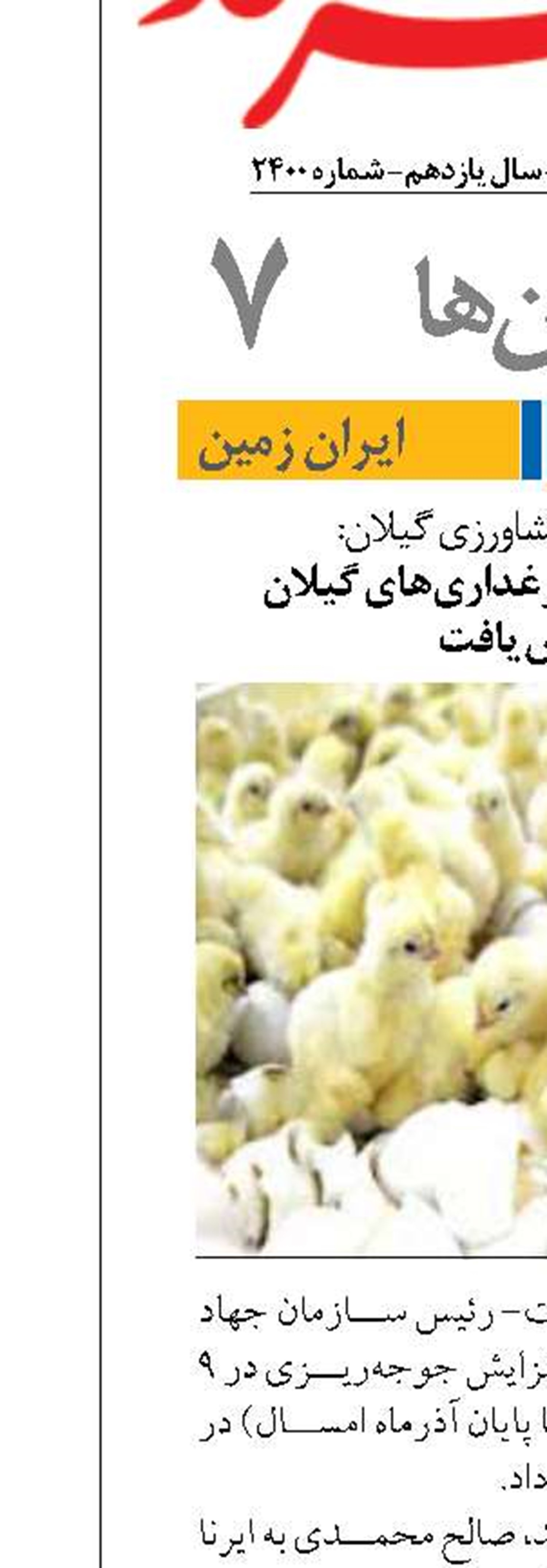  جوجه‌ریزی در مرغداری‌های گیلان افزایش یافت