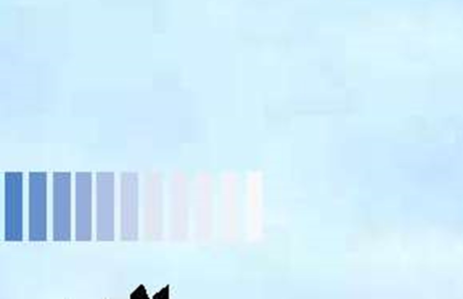 انتخاب هیئت‌مدیره جدید تشکل ملی کشتیرانی و خدمات وابسته ایران