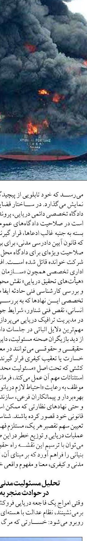 شباهت جالب روتین خواب  عروس دریایی‌ با انسان