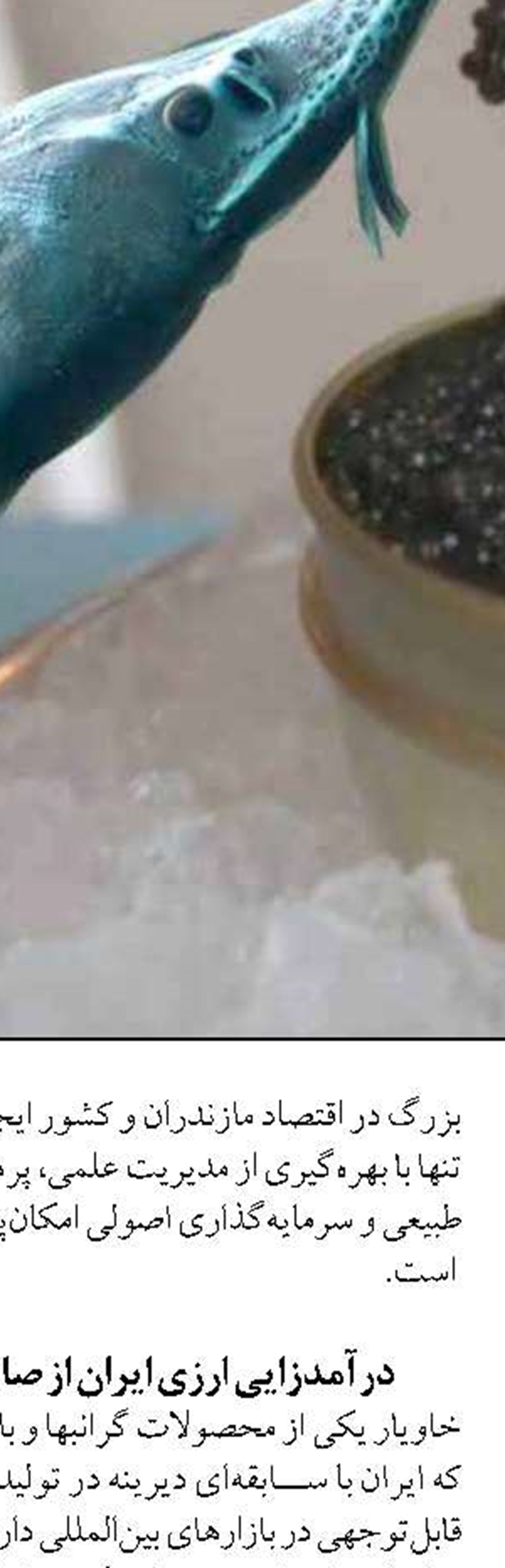 آبزیان، محور تامین امنیت غذایی کشور است