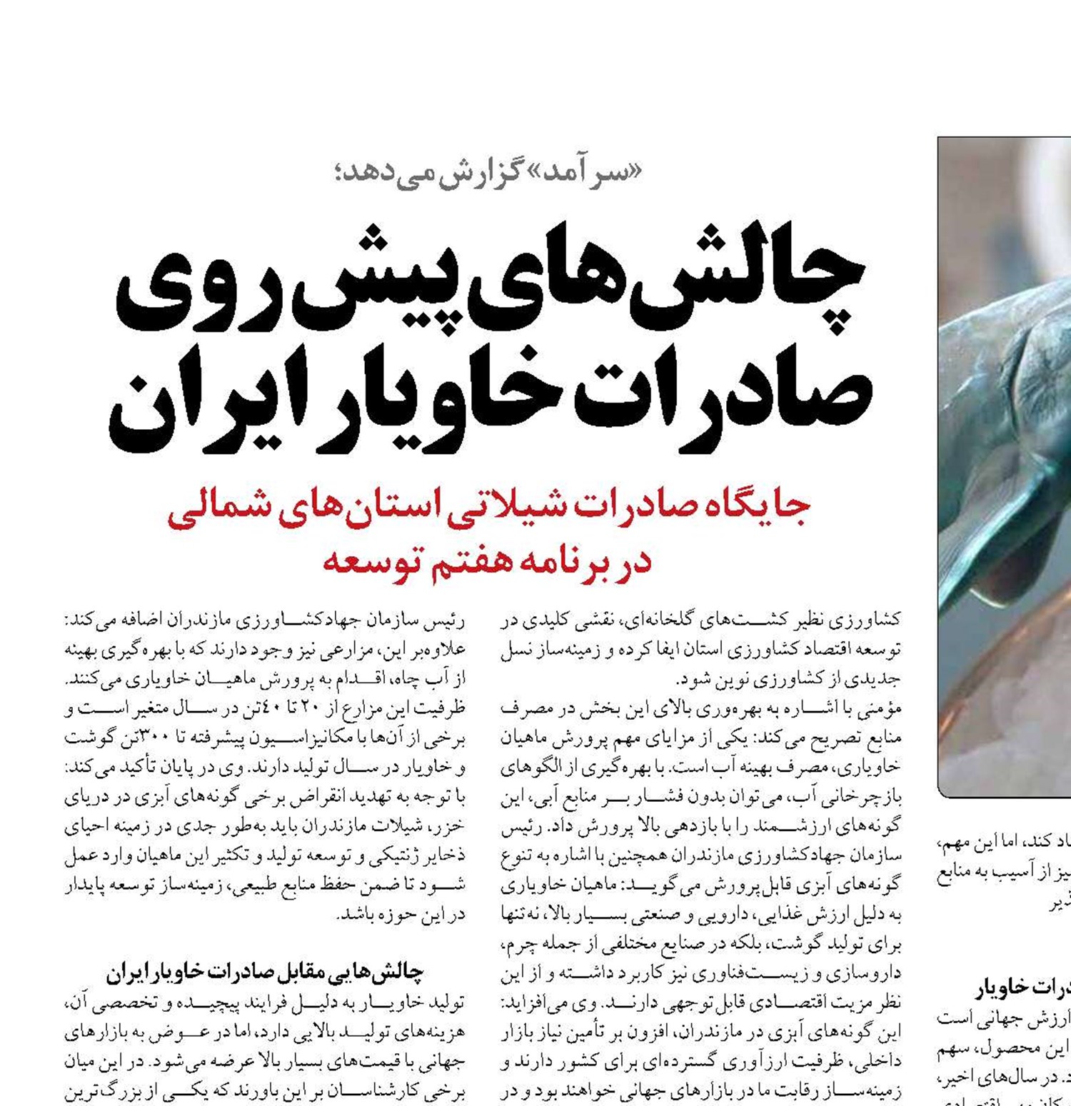 چالش‌های پیش روی صادرات خاویار ایران