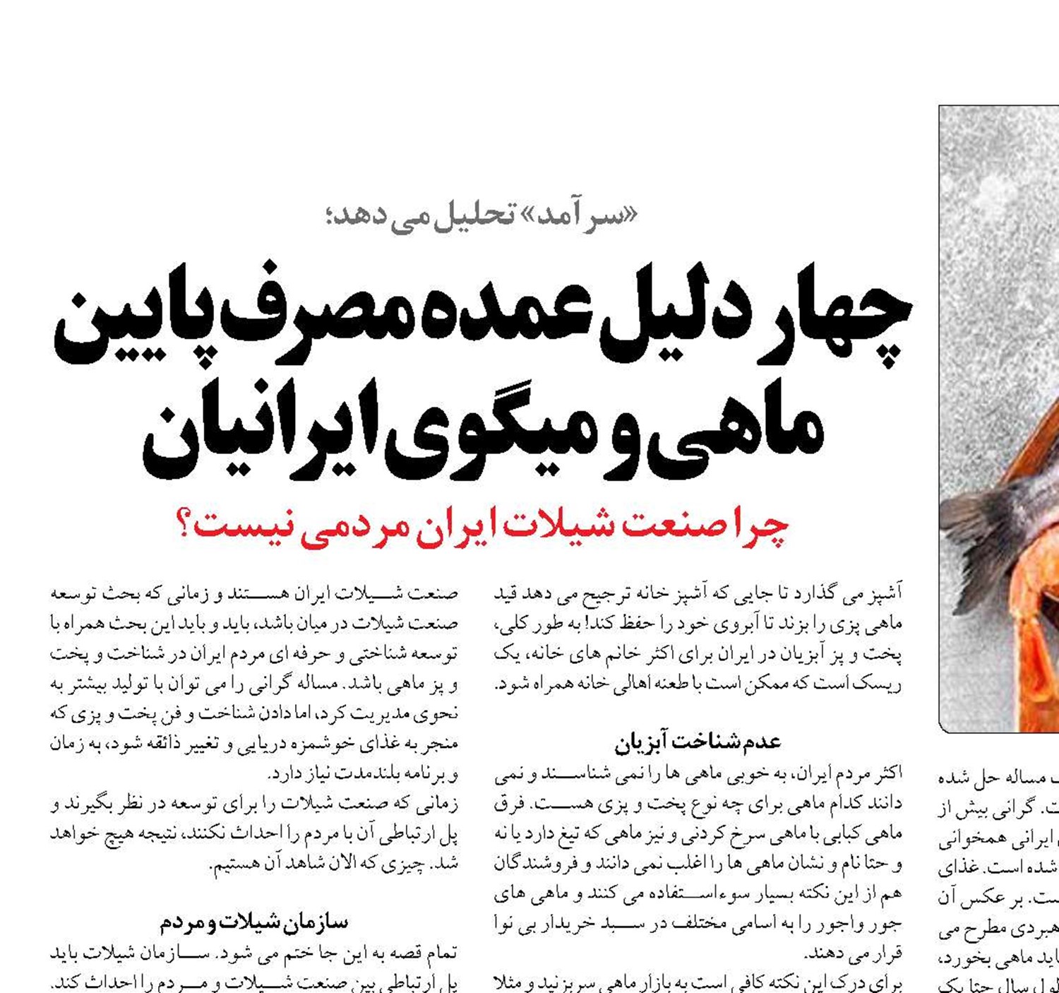 چهار دلیل عمده مصرف پایین ماهی و میگوی ایرانیان