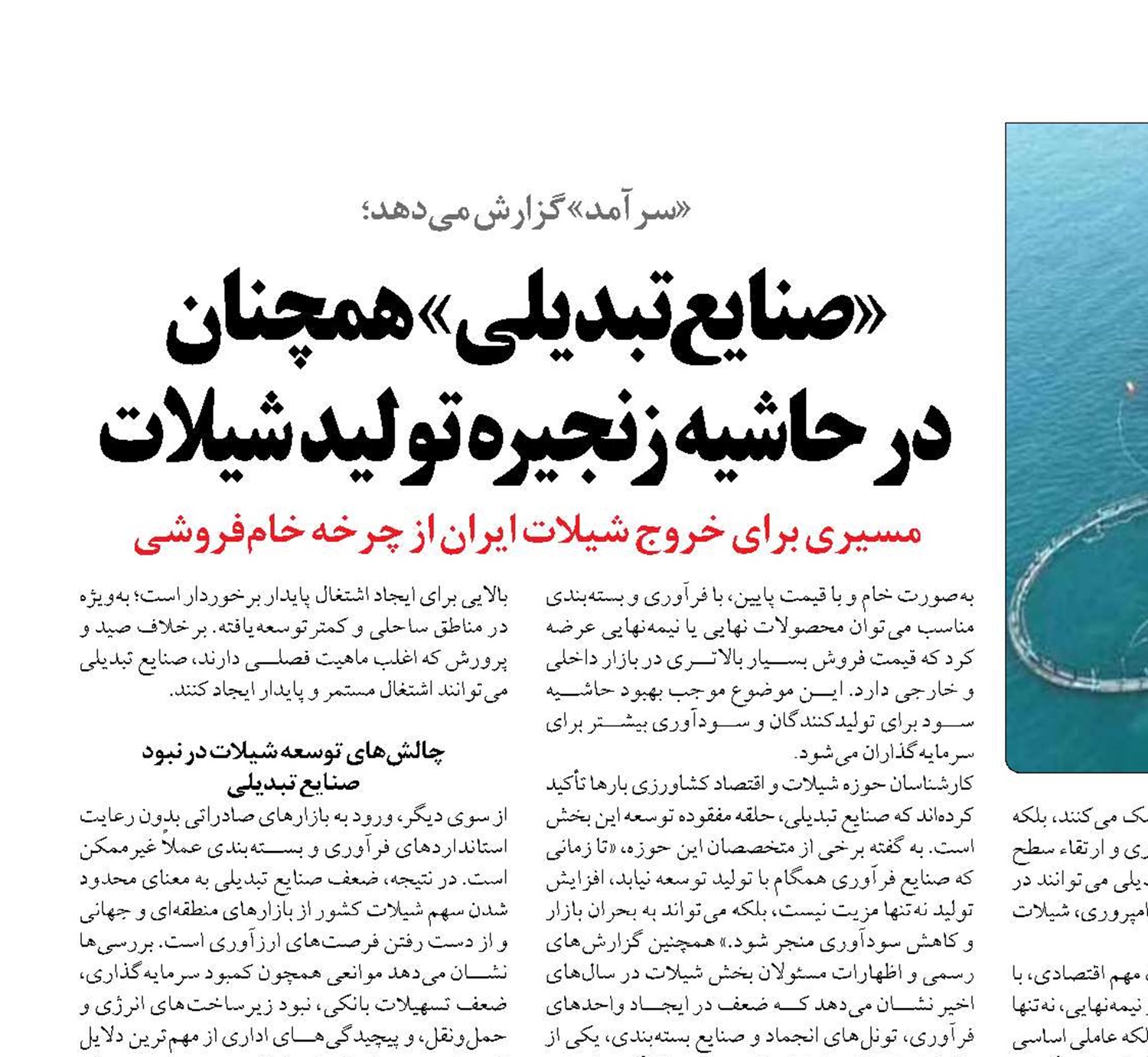 «صنایع تبدیلی» همچنان  در حاشیه زنجیره تولید شیلات