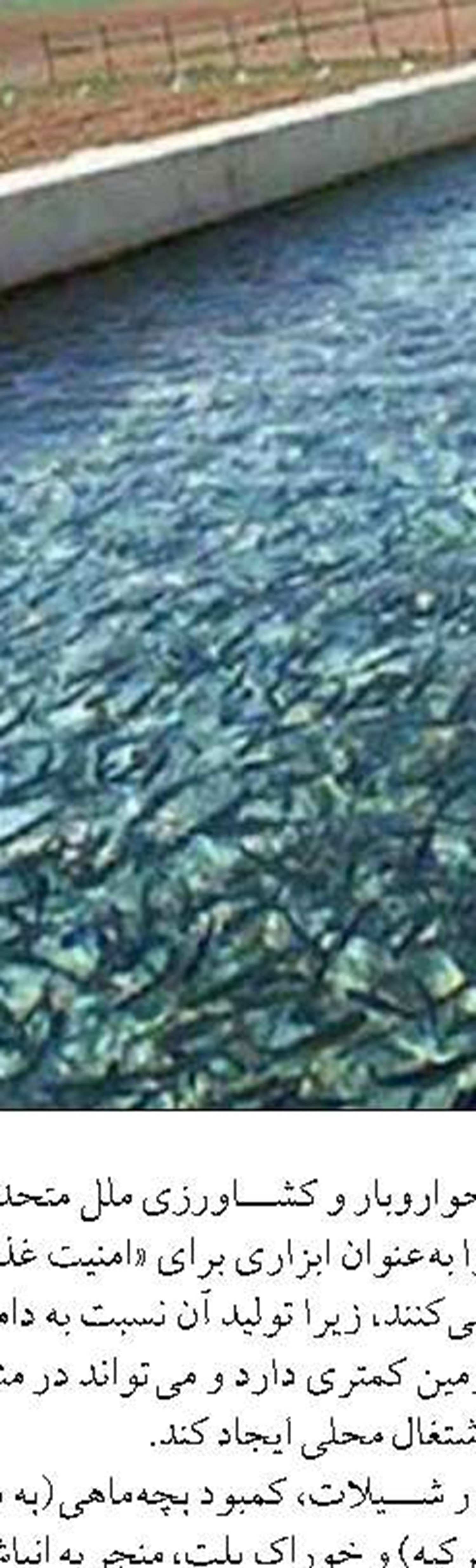 رشد ۳۹۲ درصدی صید ماهیان استخوانی خلیج گرگان