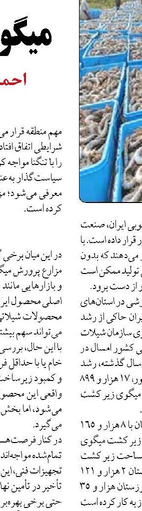 ۲۶۰۰ تُن ماهی خوراکی از مازندران  به خارج از کشور صادر شد