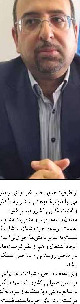 بوشهر پیشتاز میگوی پرورشی و توسعه زیرساخت‌های شیلاتی کشور