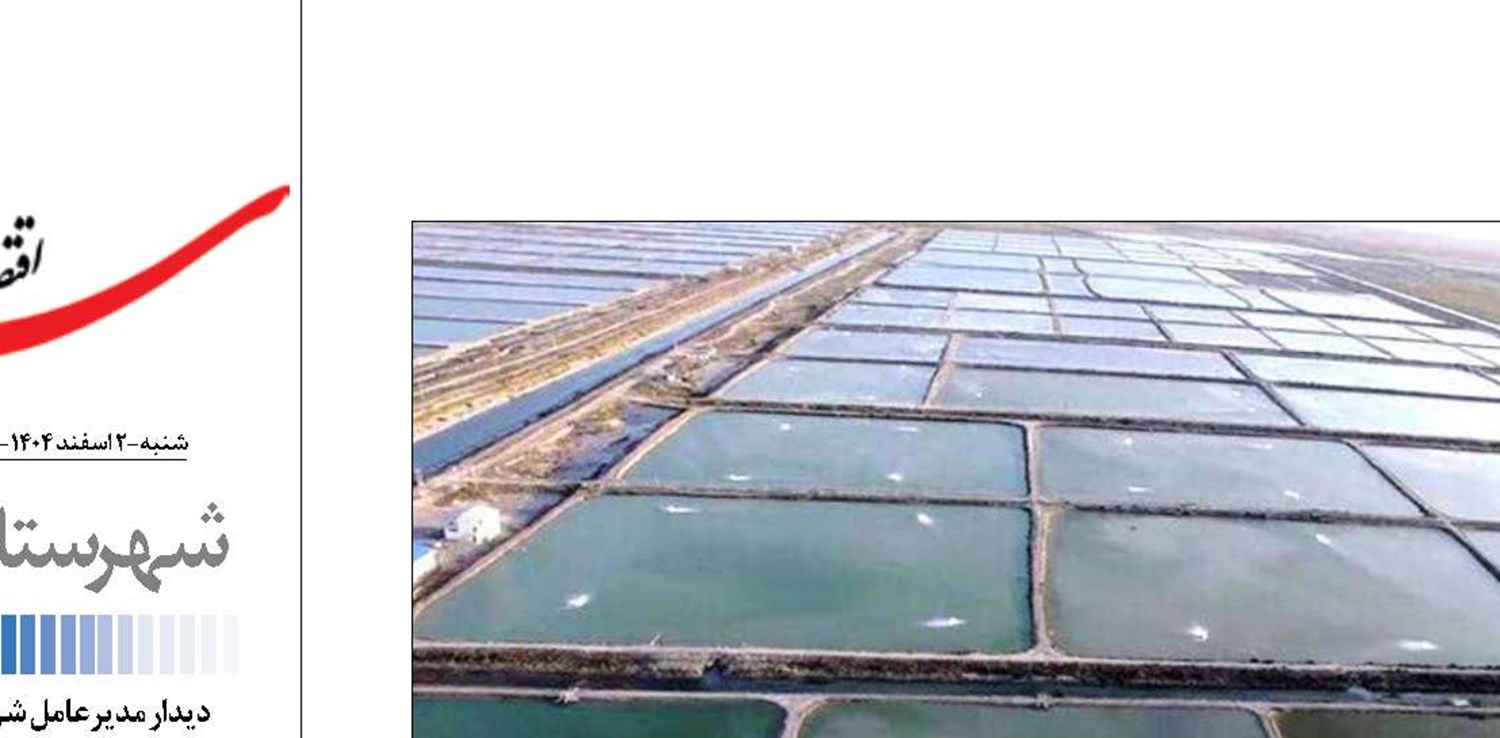  افزایش ۹۴ درصدی تولید میگو در سیستان و بلوچستان