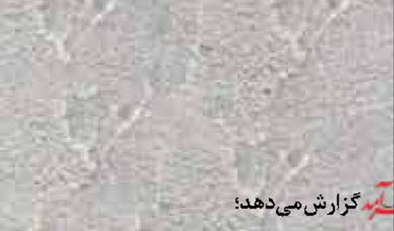   «فرهنگ دریا» باید به فرهنگ عمومی کشور تبدیل شود