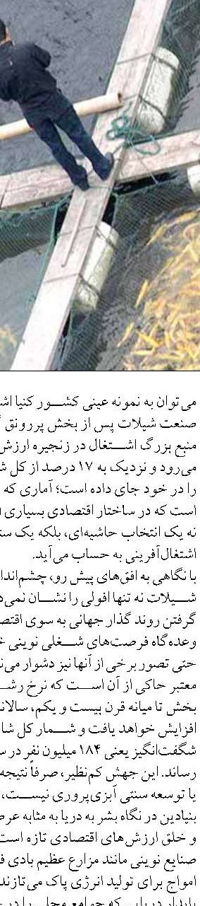 خشکیدگی جنگل‌های حرا در هرمزگان  نگران کننده است