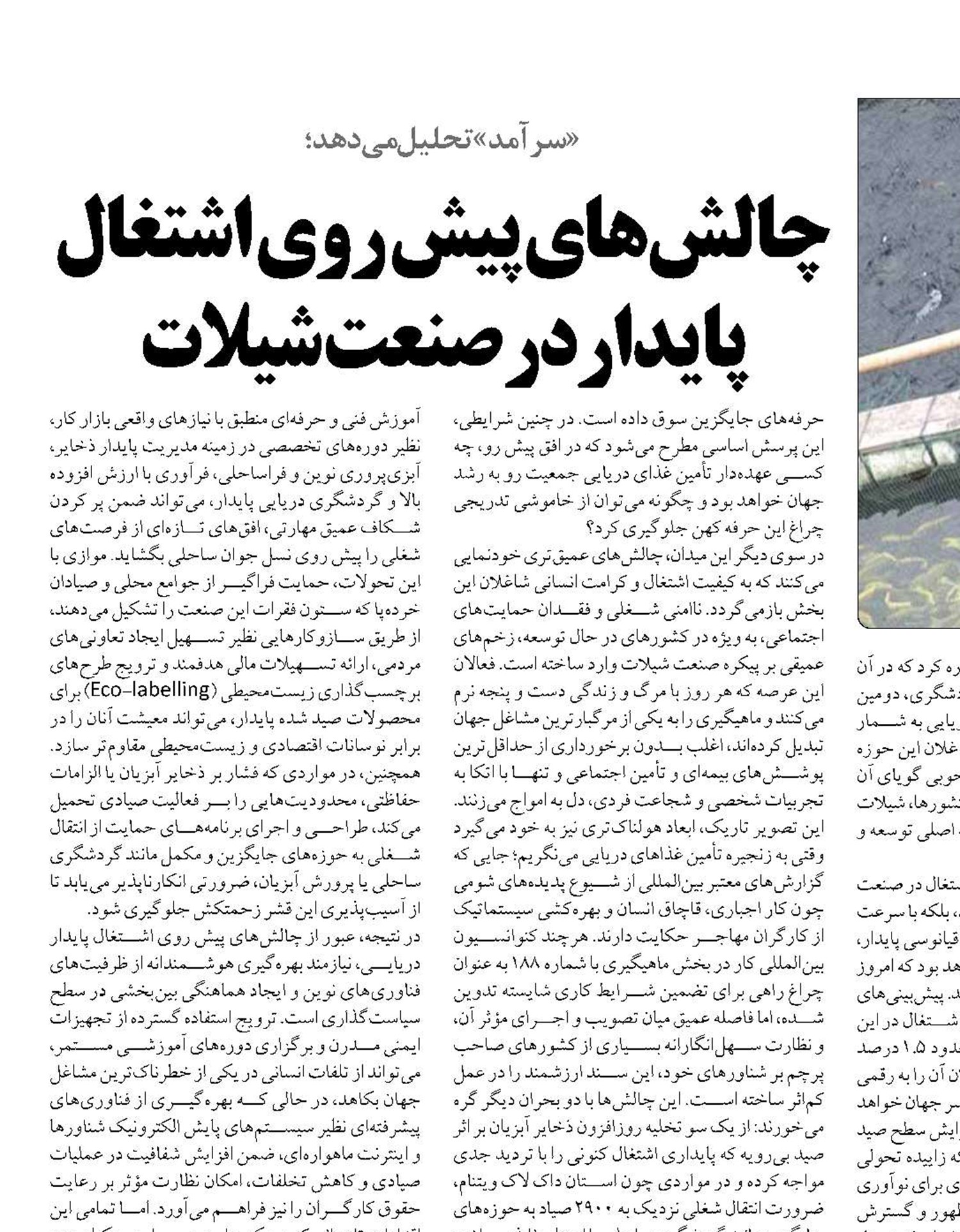 چالش‌های پیش روی اشتغال پایداردر صنعت شیلات