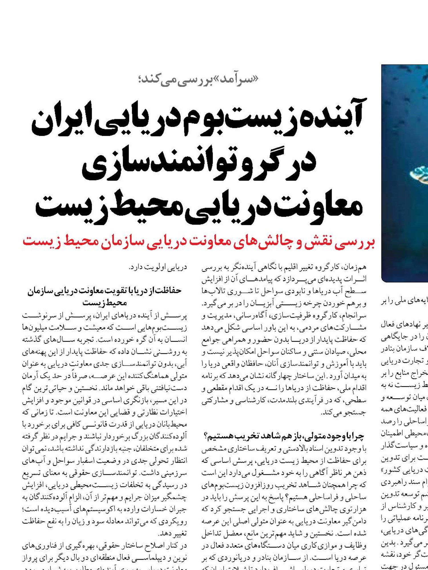 آینده زیست‌بوم دریایی ایران در گرو توانمندسازی  معاونت دریایی محیط زیست