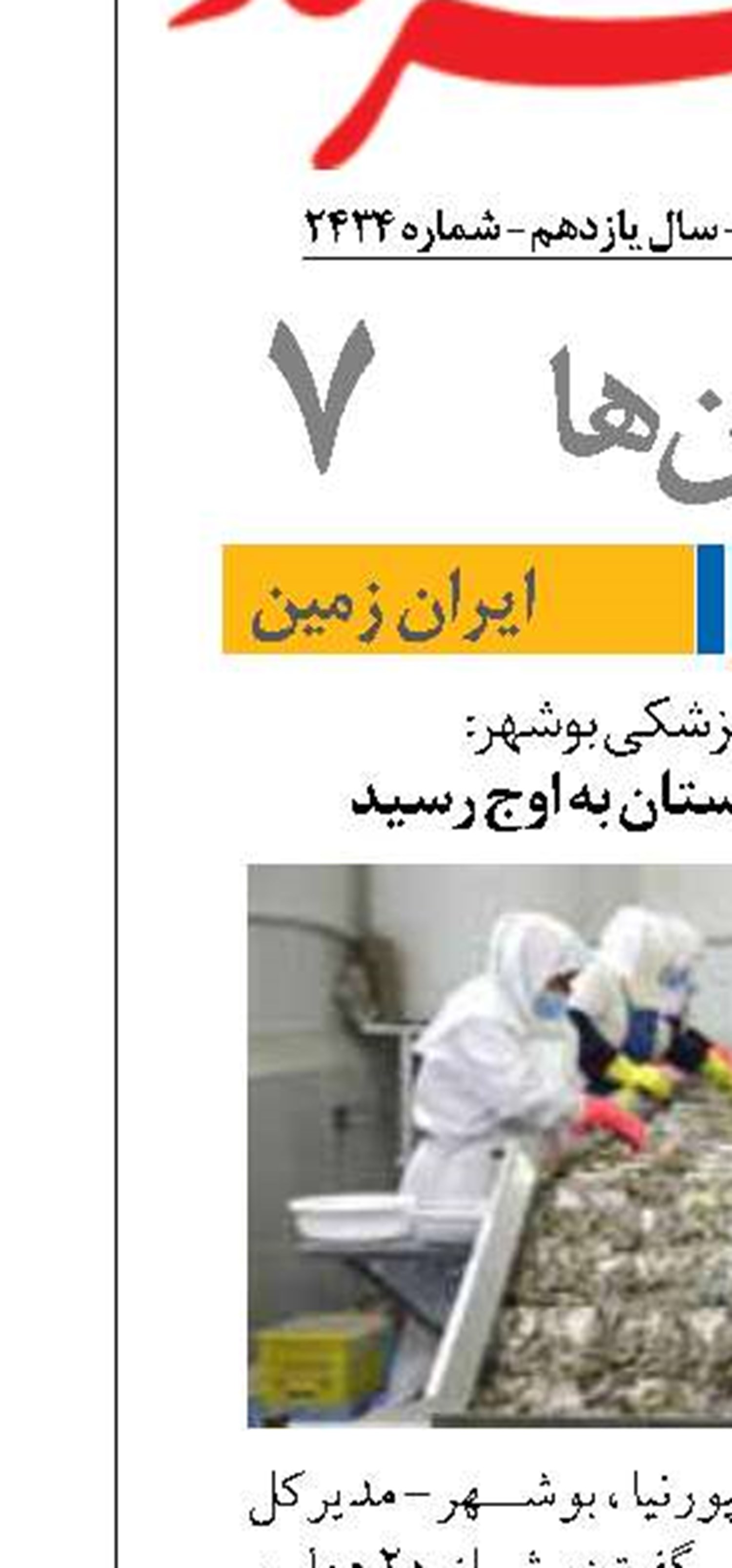 مدیرکل دامپزشکی بوشهر:  صادرات آبزیان استان به اوج رسید