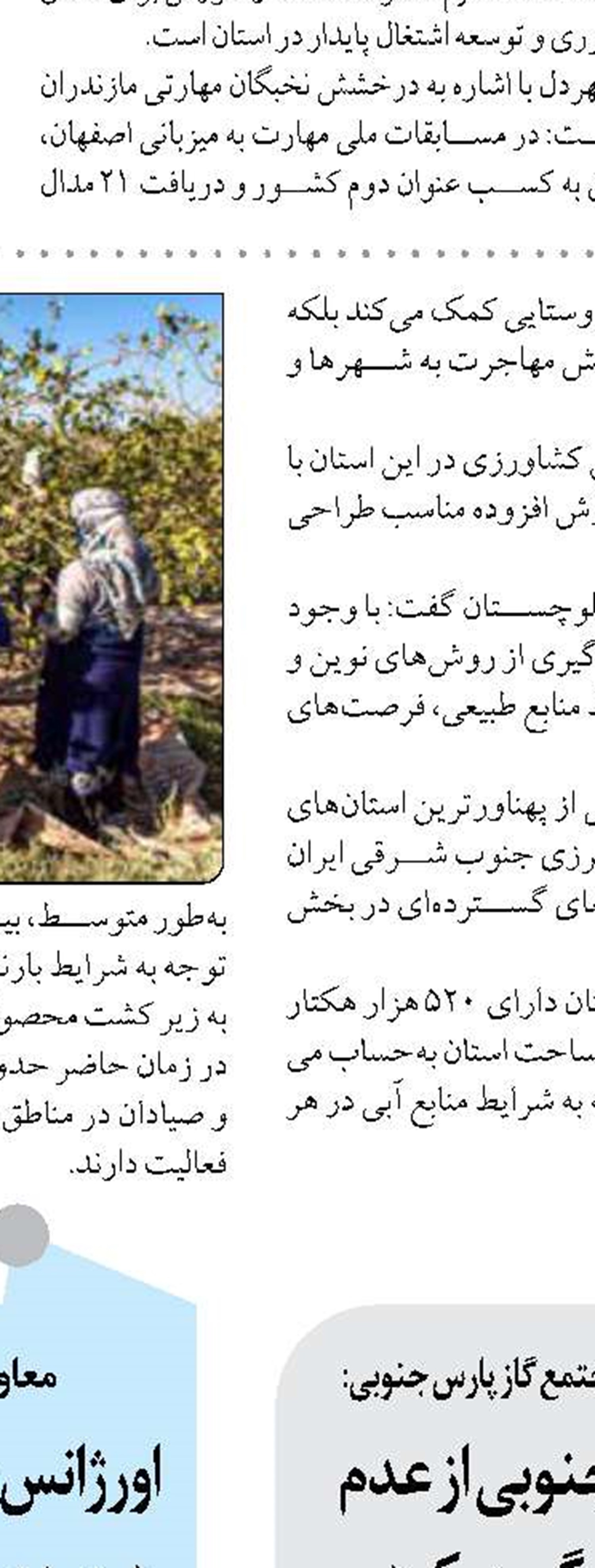 سرمایه‌گذاری خارجی در یزد ۱۲ برابر شد؛ مشارکت ۱۱ شرکت برون‌مرزی