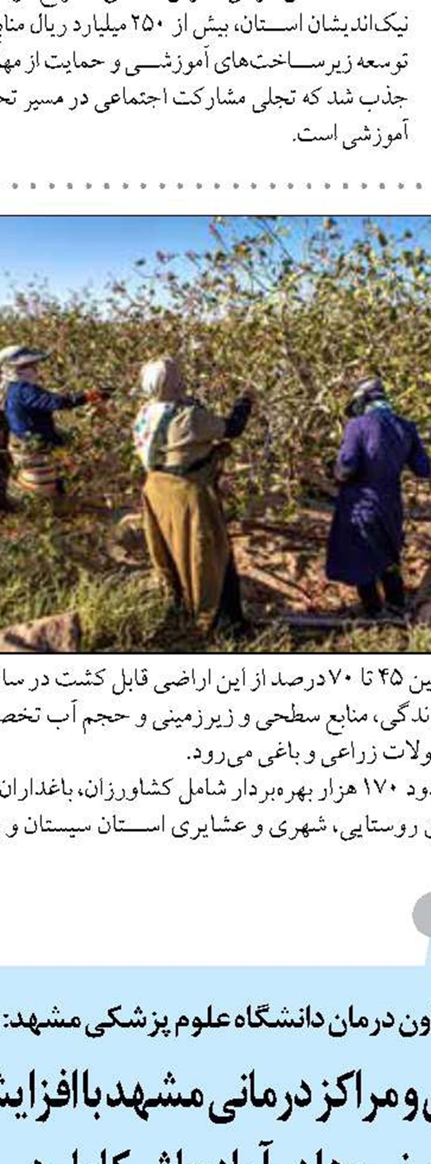 افزایش تولید گاز در پارس جنوبی از عدم النفع ۱۷۰میلیون دلار جلوگیری کرد