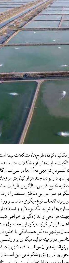 آسیب به ۸ کارخانه داروسازی در جنگ رمضان