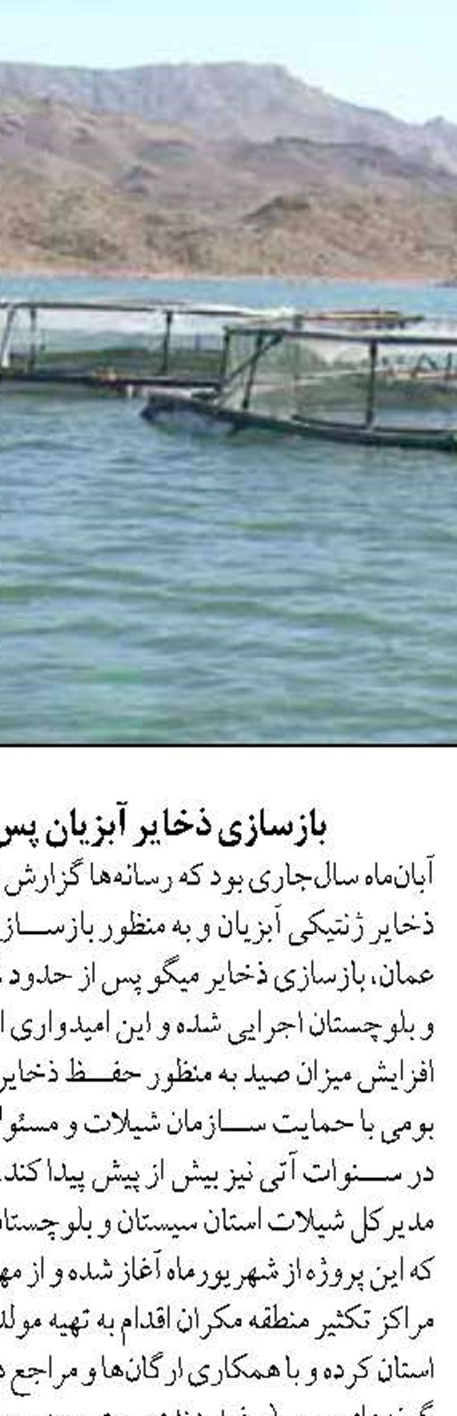 هدف‌گذاری تولید بیش از ۱۷ هزار تن انواع ماهیان خوراکی در اردبیل طی سال ۱۴۰۵