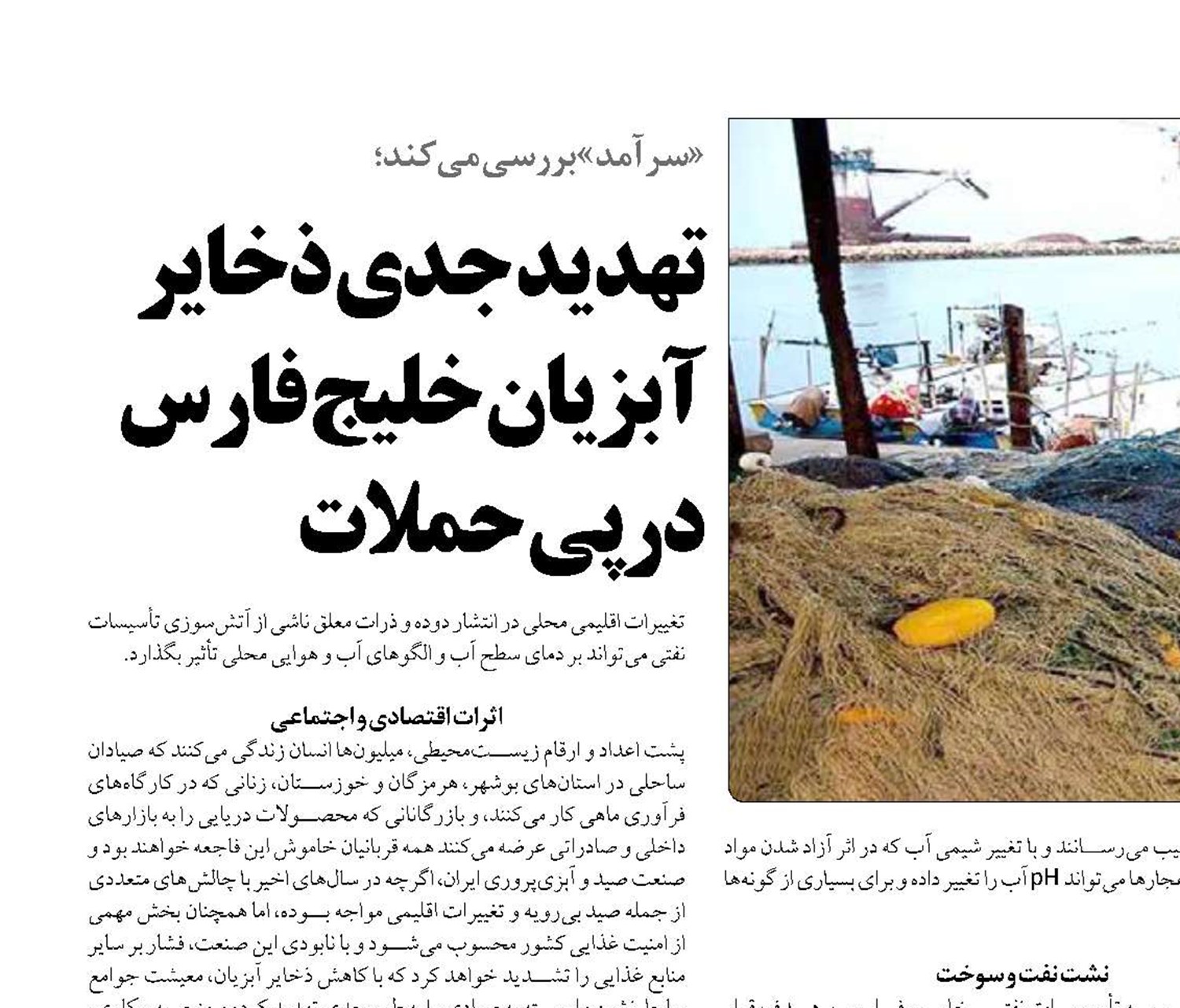  تهدید جدی ذخایر آبزیان خلیج فارس درپی حملات