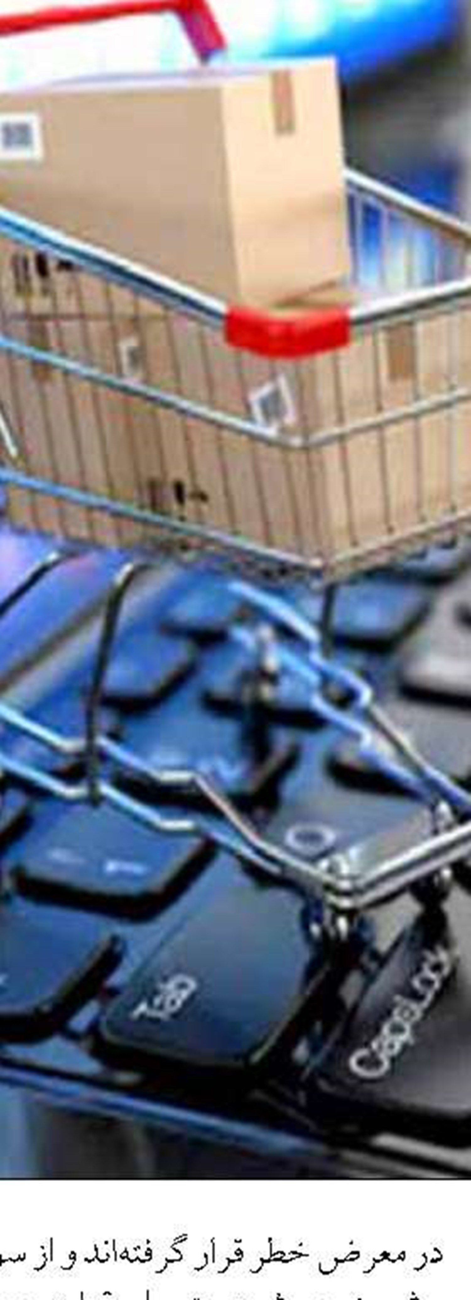 تقدیر وزیر اقتصاد از تداوم فعالیت بورس انرژی در ایام جنگ تحمیلی
