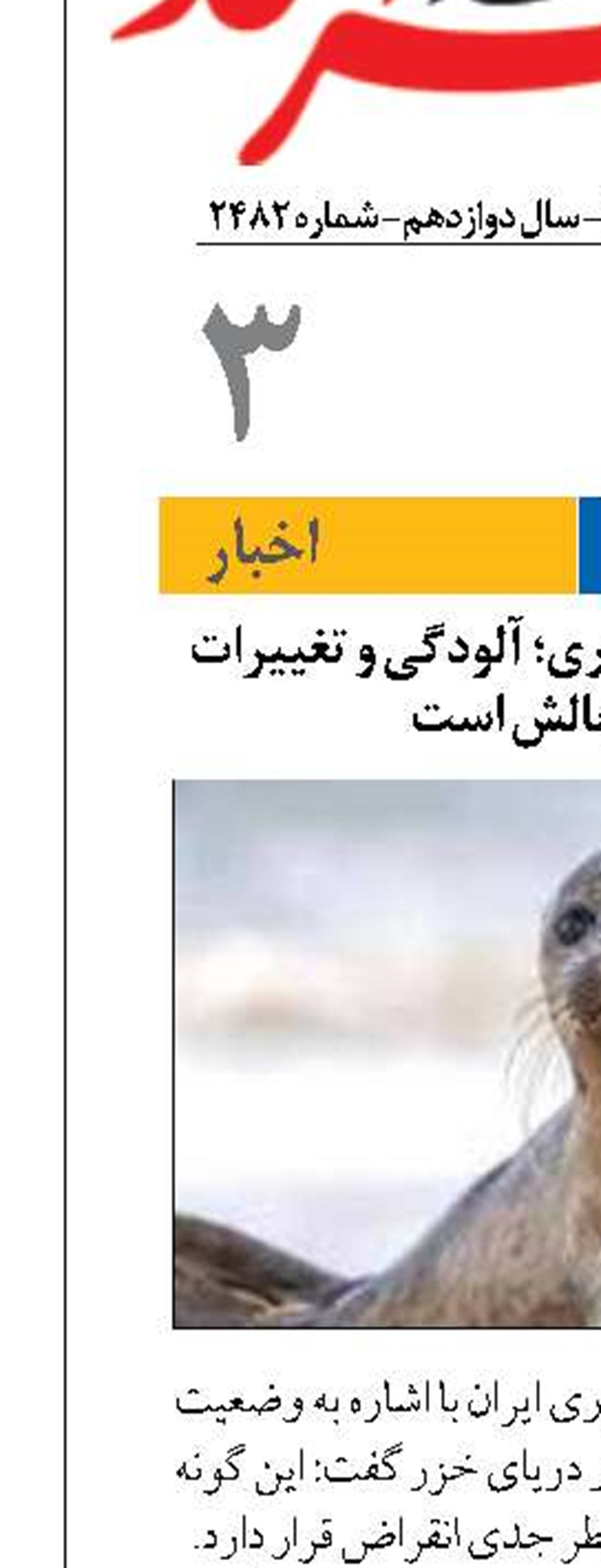 تهدید نسل فوک خزری؛ آلودگی و تغییرات اقلیمی چالش است