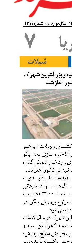 ذخیره‌سازی بچه میگو در بزرگترین شهرک شیلاتی کشور آغاز شد