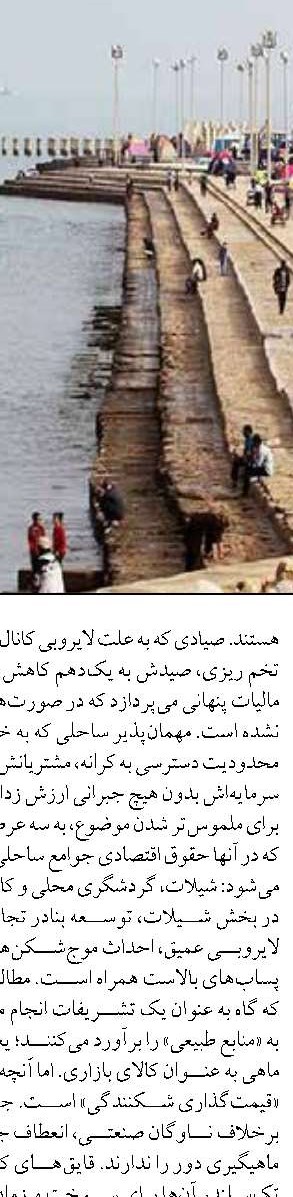 مرجان‌های خلیج‌فارس آزمایشگاه طبیعی مقاومت در برابر تغییرات اقلیمی هستند