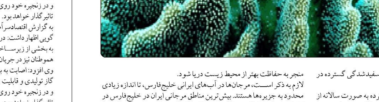 کاهش ۵۴ درصدی صید ماهی سفید در دریای خزر