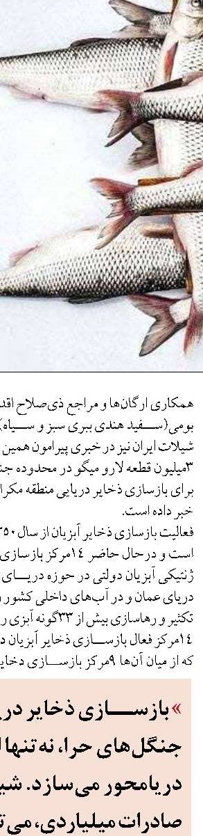 لزوم تمرکز مسئولان بر تسریع ترخیص کالا از بنادر مازندران