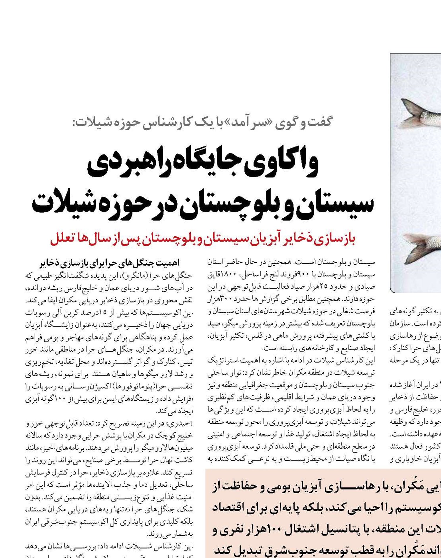 واکاوی جایگاه راهبردی  سیستان و بلوچستان در حوزه شیلات 