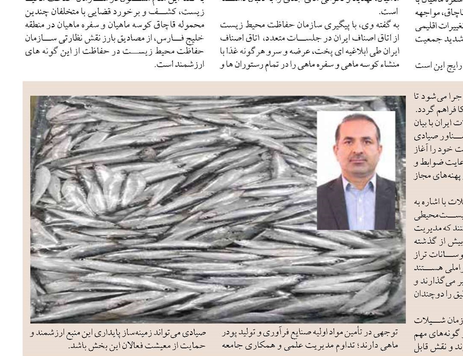 گره زدن تمام گرانی‌ها به حذف ارز ترجیحی بی‌انصافی سیاسی است