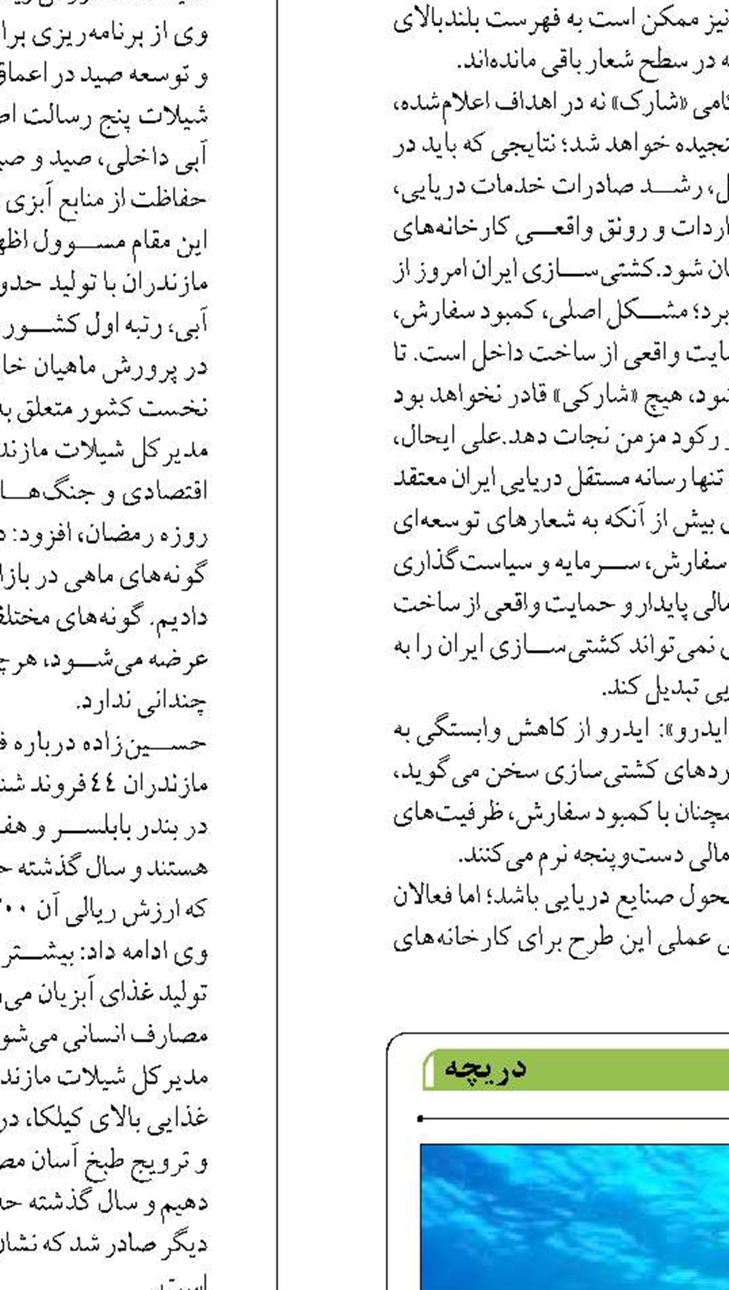 تداوم اقدامات حفاظتی لاک پشت های دریایی  در سواحل خلیج فارس و مکران