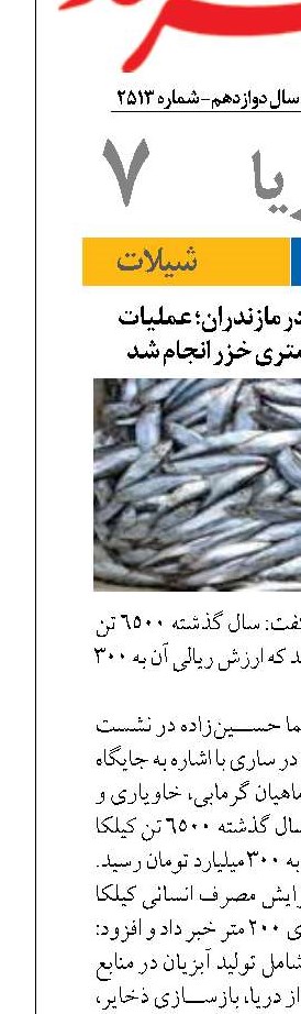صید ۶۵۰۰ تن کیلکا در مازندران؛ عملیات شکار در اعماق ۲۰۰ متری خزر انجام شد