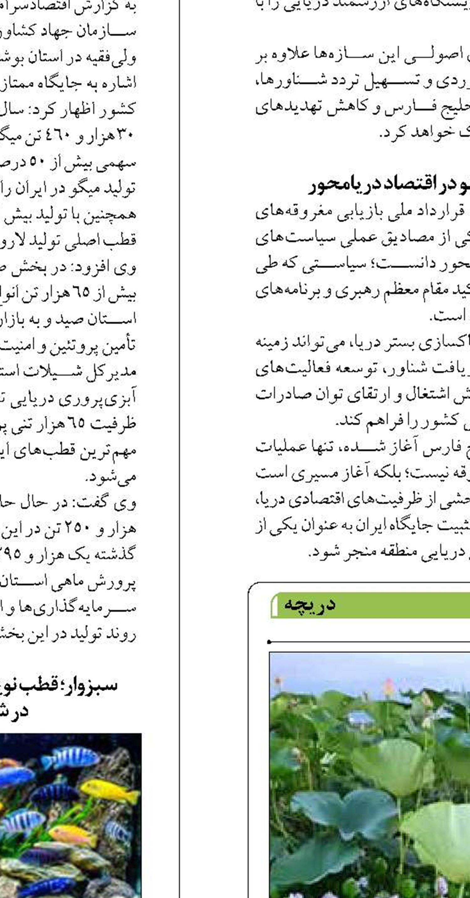 آغاز فصل تازه گردشگری در تالاب انزلی با شکوفایی نیلوفرهای آبی