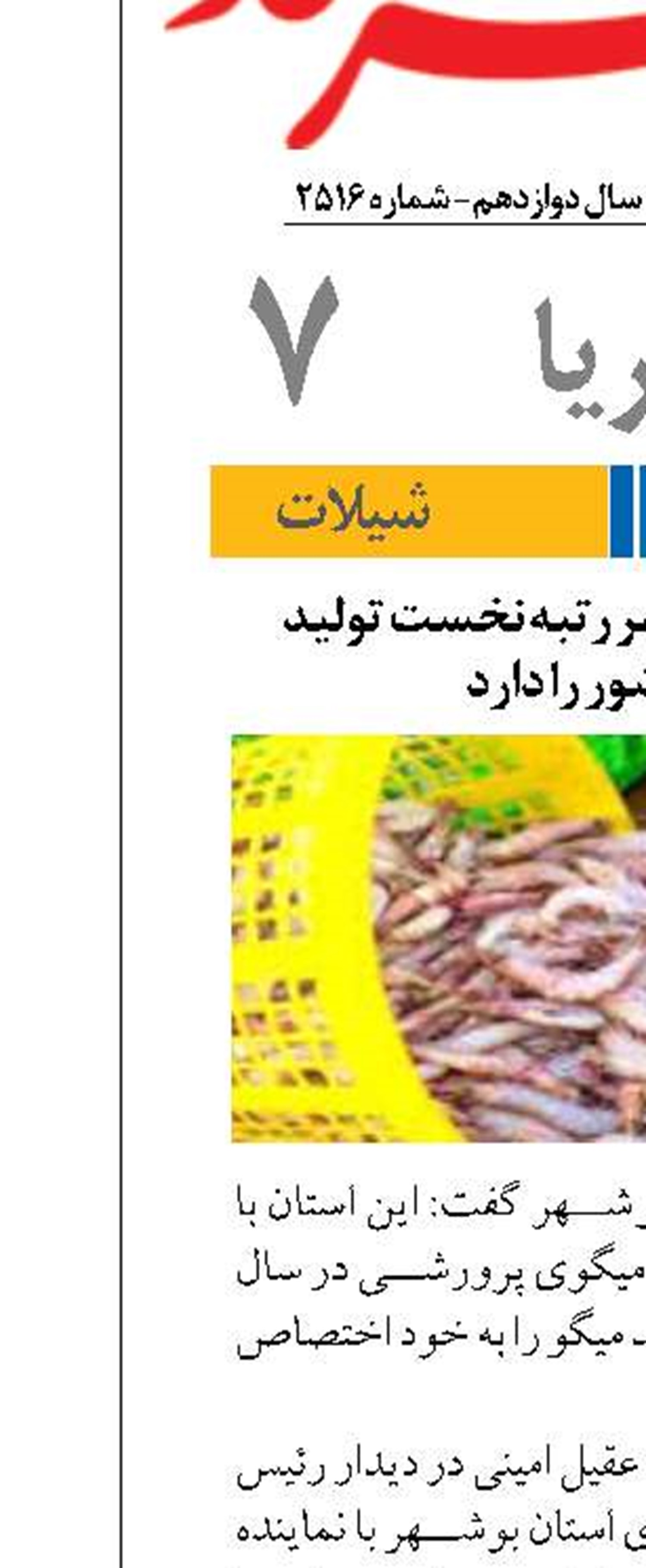 امینی: استان بوشهر رتبه نخست تولید میگو کشور را دارد