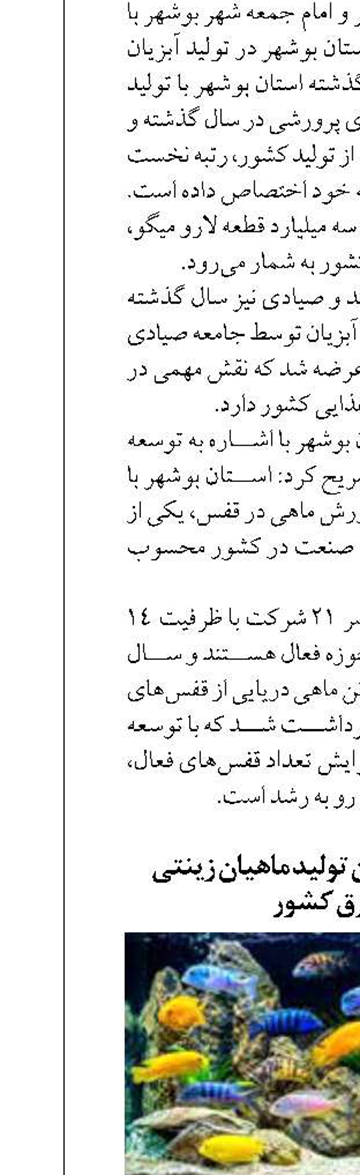 سبزوار؛ قطب نوین تولید ماهیان زینتی  در شرق کشور