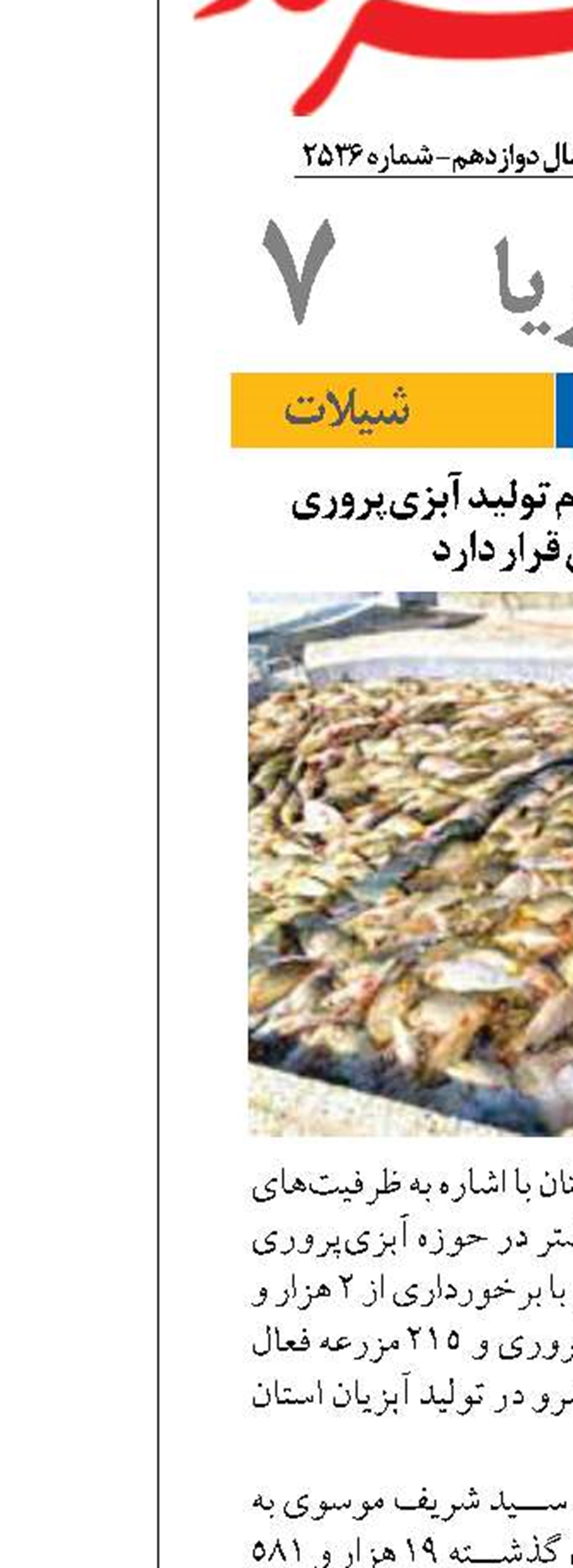 شوشتر در رتبه سوم تولید آبزی‌پروری خوزستان قرار دارد 