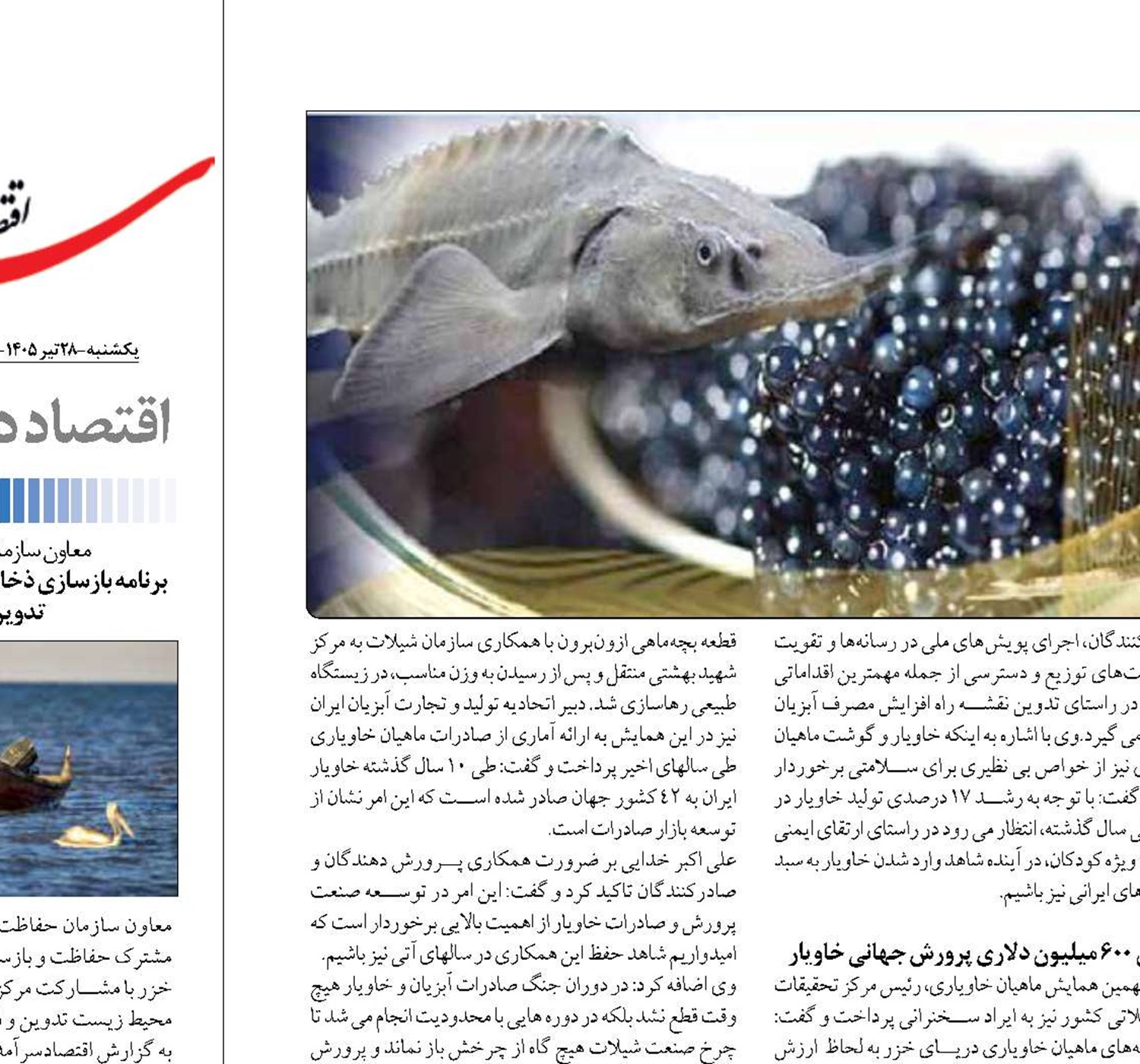 ضرورت ورود خاویار به سبد غذایی خانواده های ایرانی