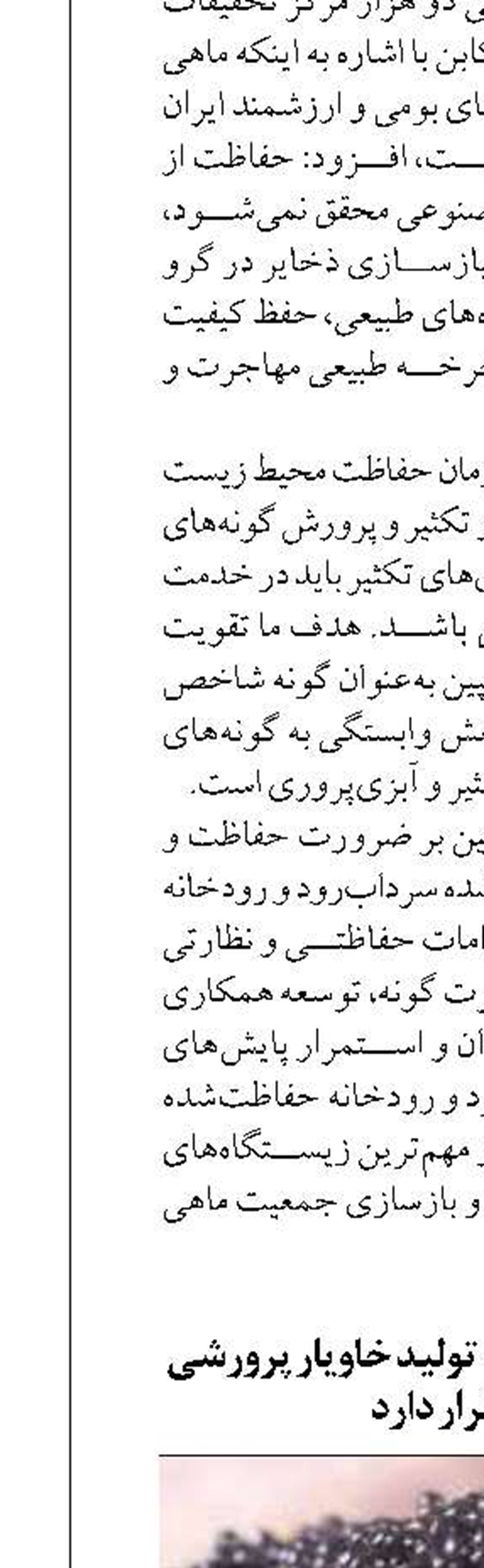 گیلان در رتبه نخست تولید خاویار پرورشی کشور قرار دارد  