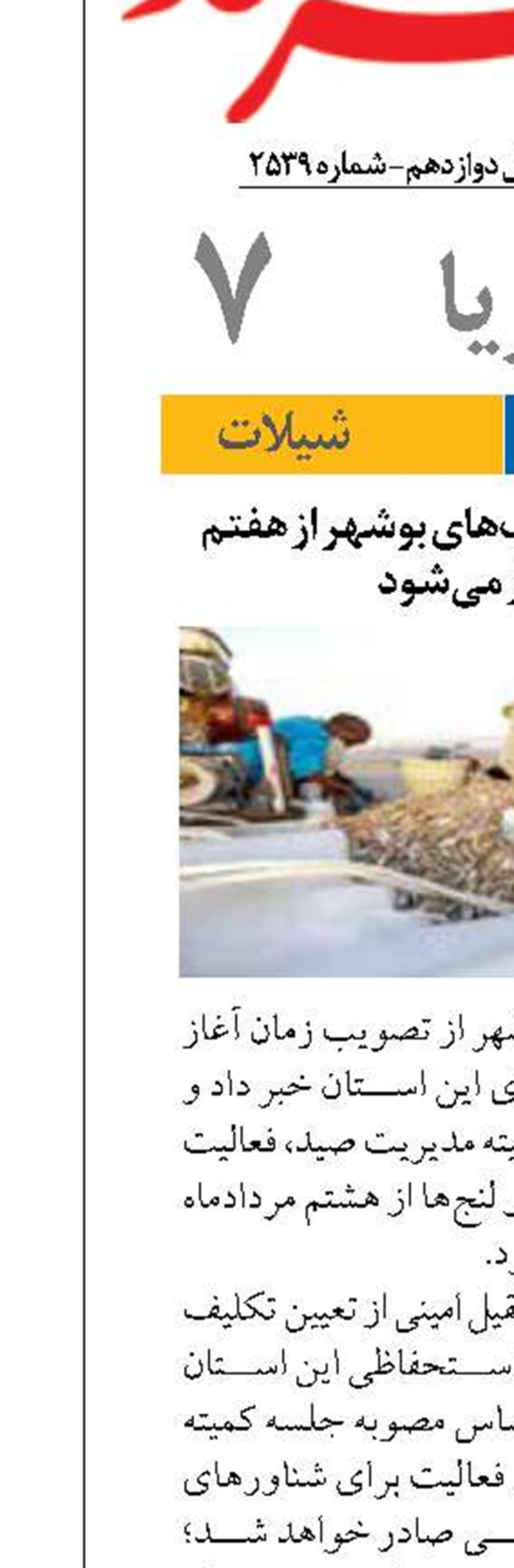 فصل صید میگو در آب‌های بوشهر از هفتم مرداد آغاز می‌شود
