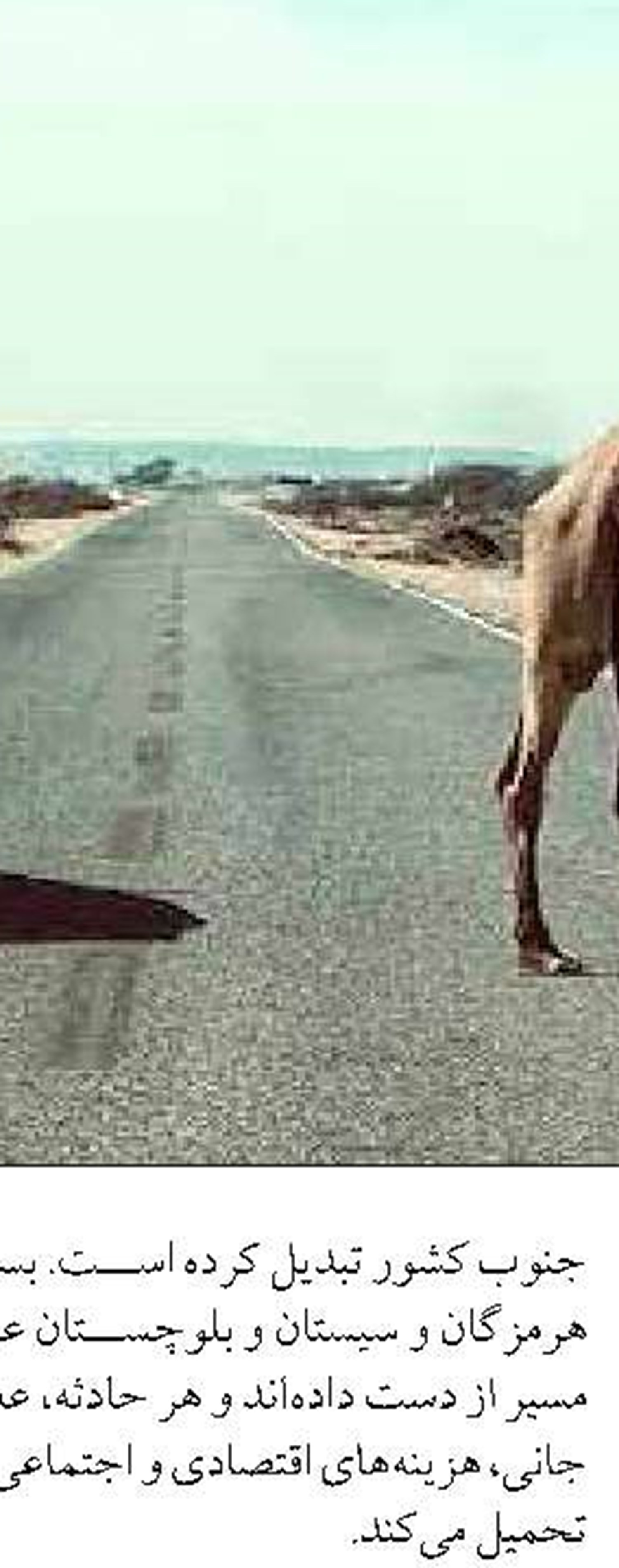 حمایت از تولید بدون افزایش پایه پولی دنبال می‌شود