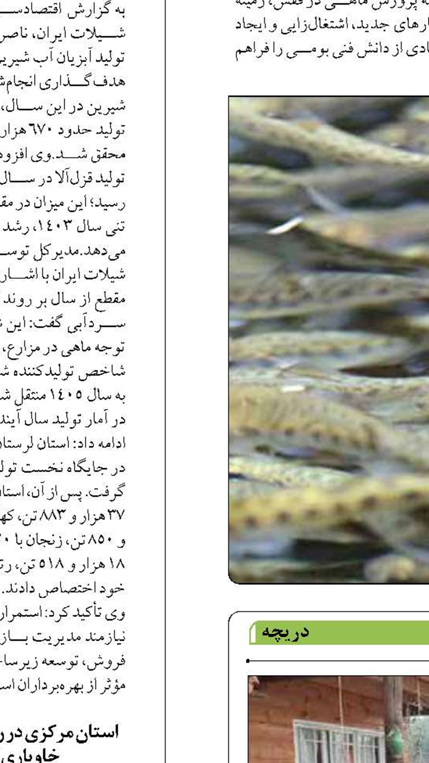 تداوم روند ورود گردشگران خارجی  به استان گیلان