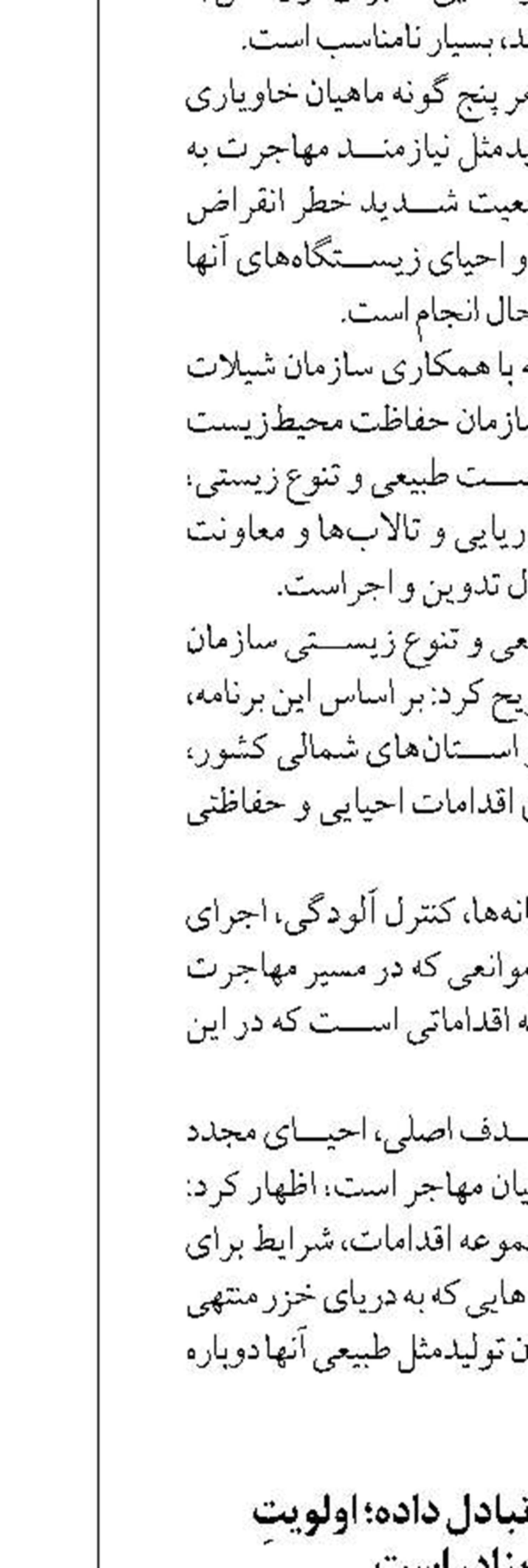 هوشمندسازی و تبادل داده؛ اولویتِ عملیاتی بنادر است