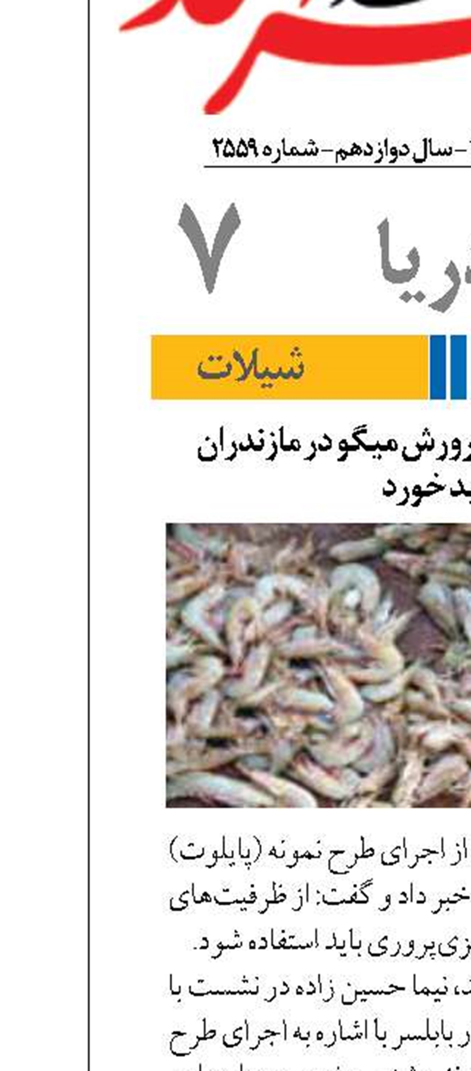 اجرای طرح نمونه پرورش میگو در مازندران کلید خورد