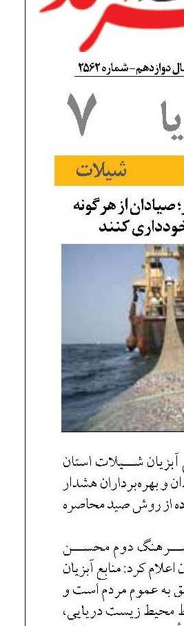 هشدار شیلات بوشهر؛ صیادان از ﻫﺮﮔﻮﻧﻪ ﺻﻴﺪ ﻣﺤﺎﺻﺮه‌ای ﺧﻮدداری کنند