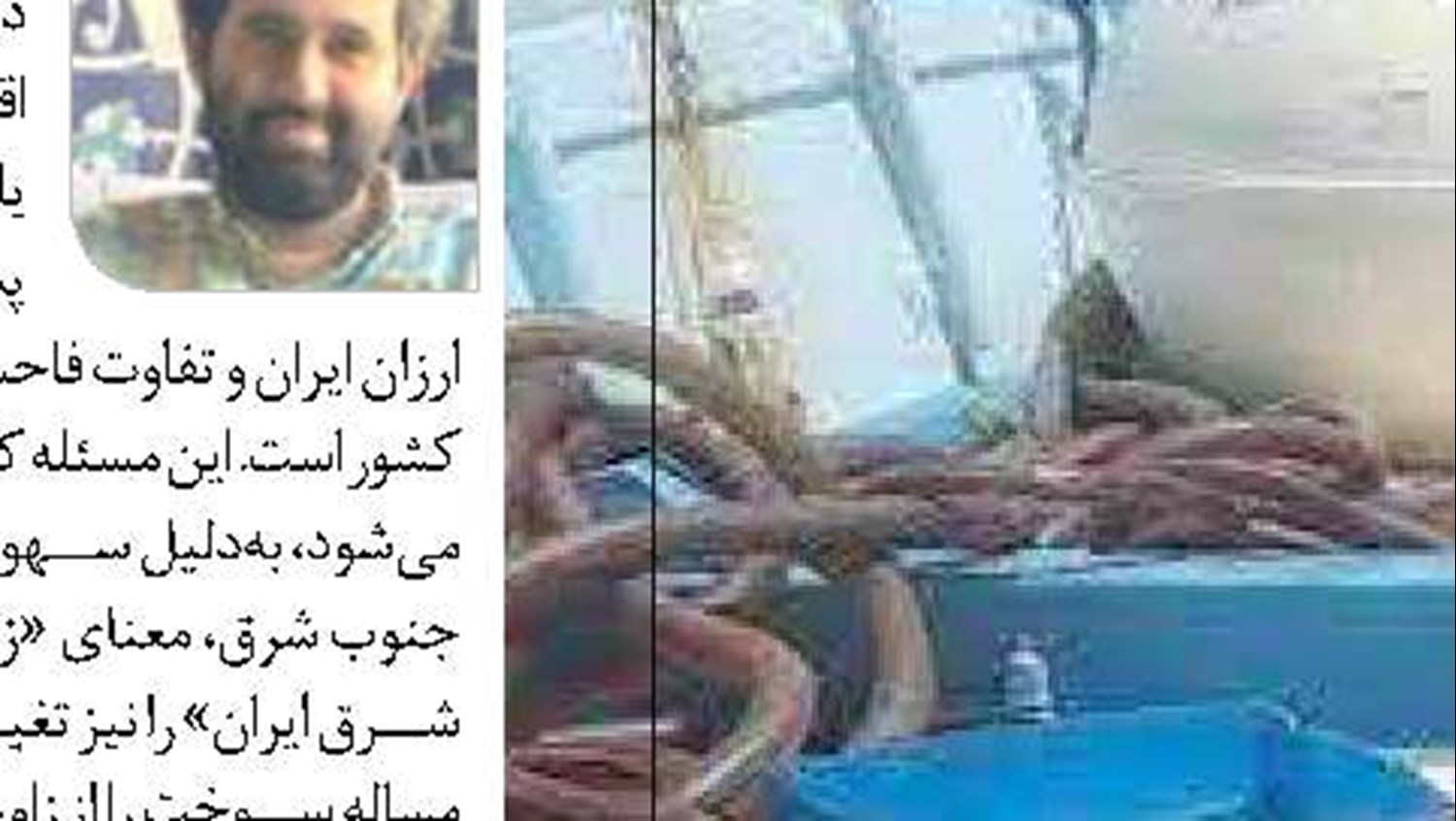 هدف گذاری تولید سالانه 140 تن خاویار تا سال 1414