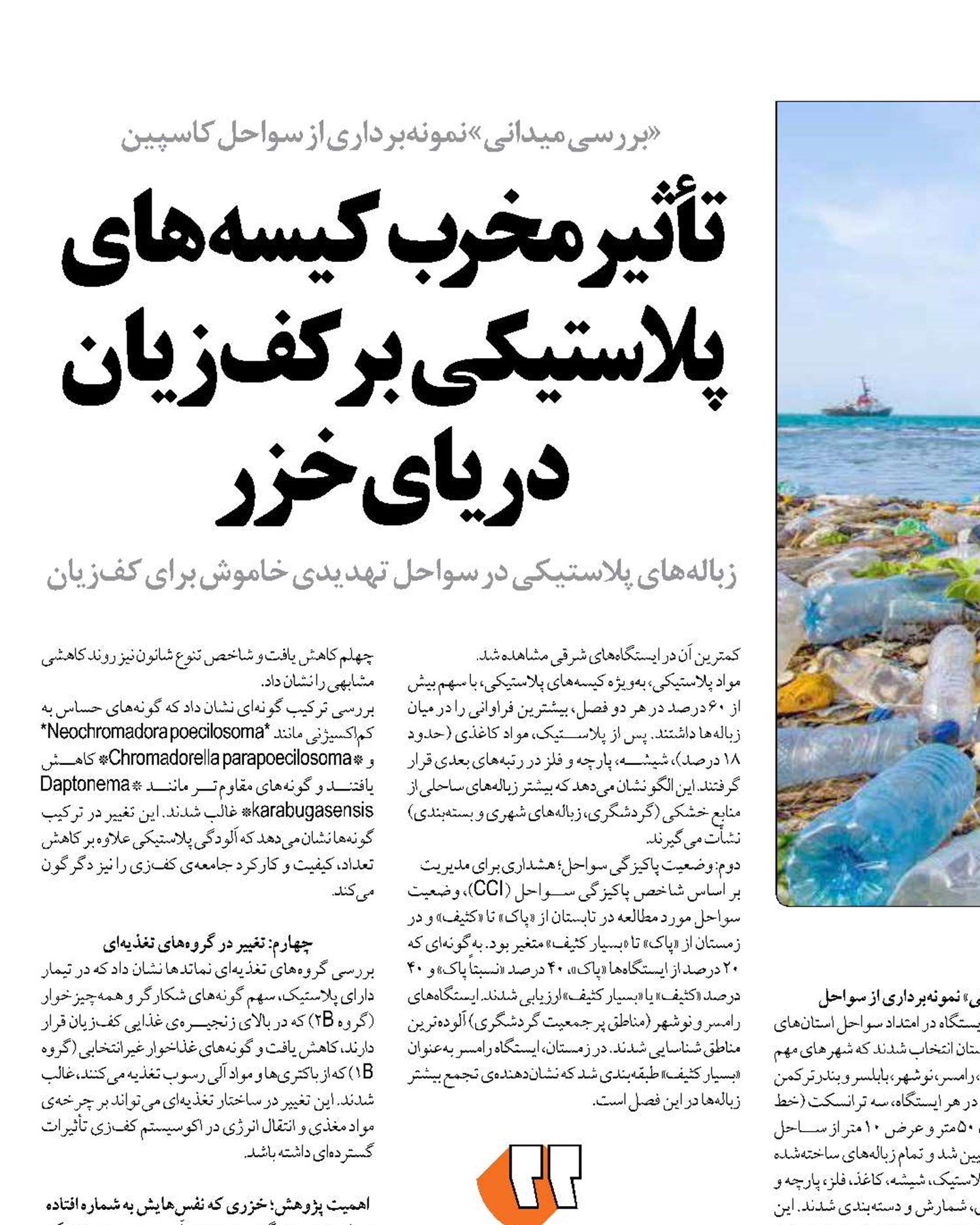 تأثیر مخرب کیسه‌های پلاستیکی بر کف‌زیان دریای خزر