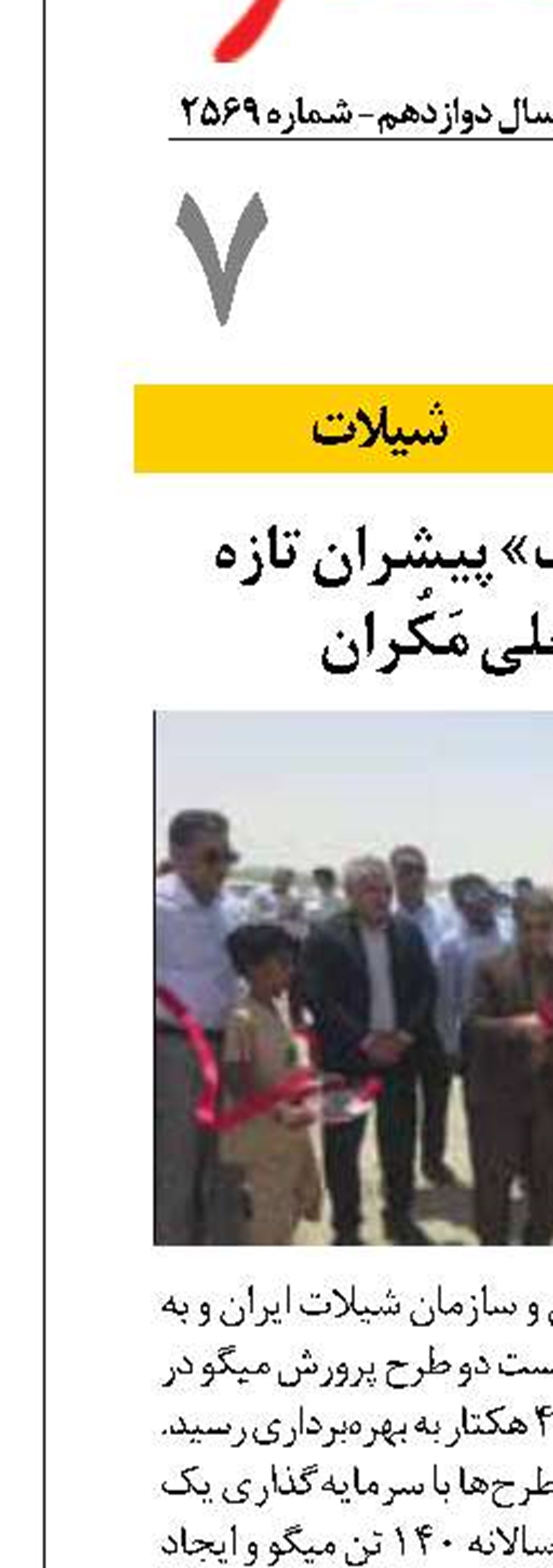 «میگوی سیریک» پیشران تازه اقتصاد ساحلی مَکُران