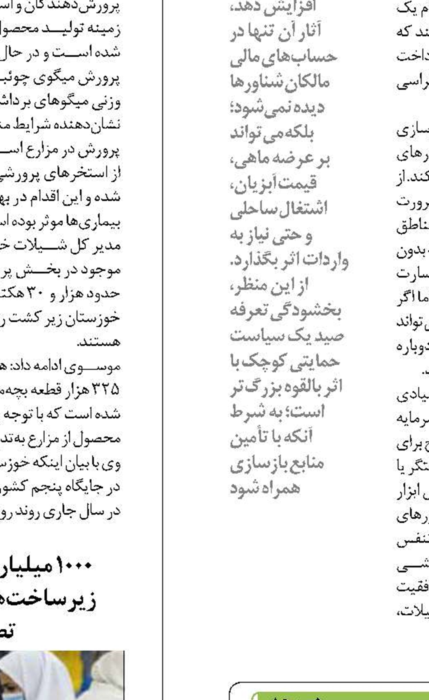پیش بینی افزایش تولید میگوی گلستان  طی سال 1405
