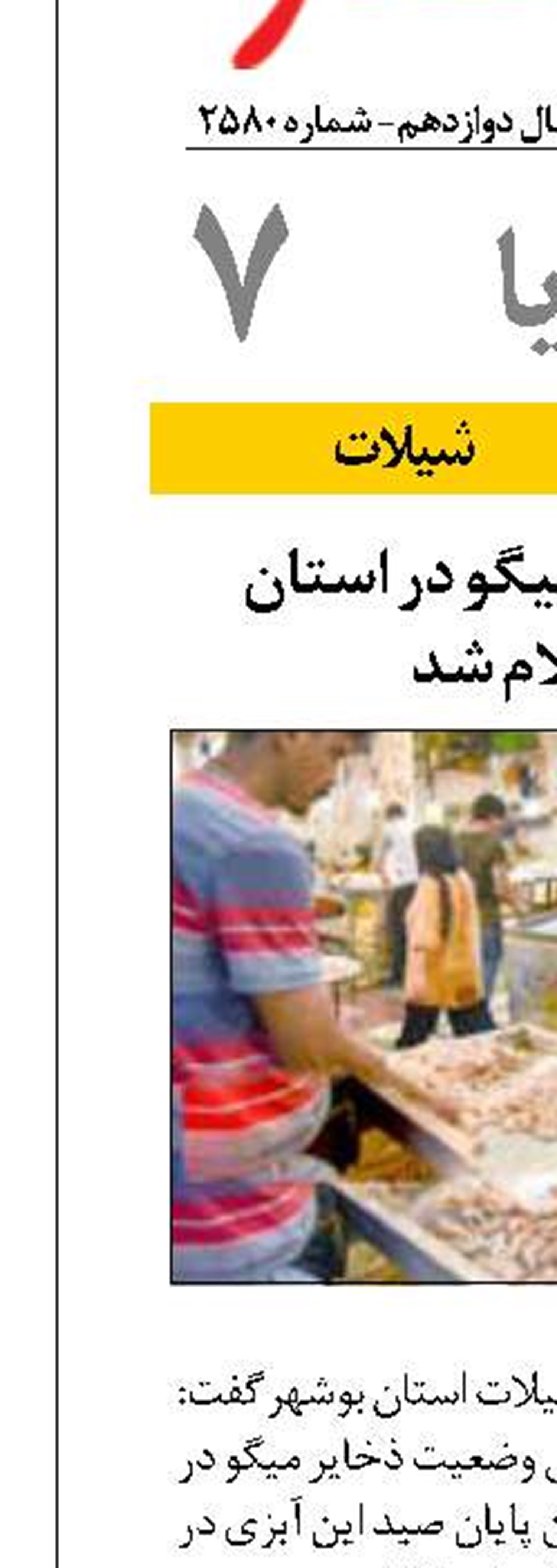 زمان پایان صید میگو در استان بوشهر اعلام شد