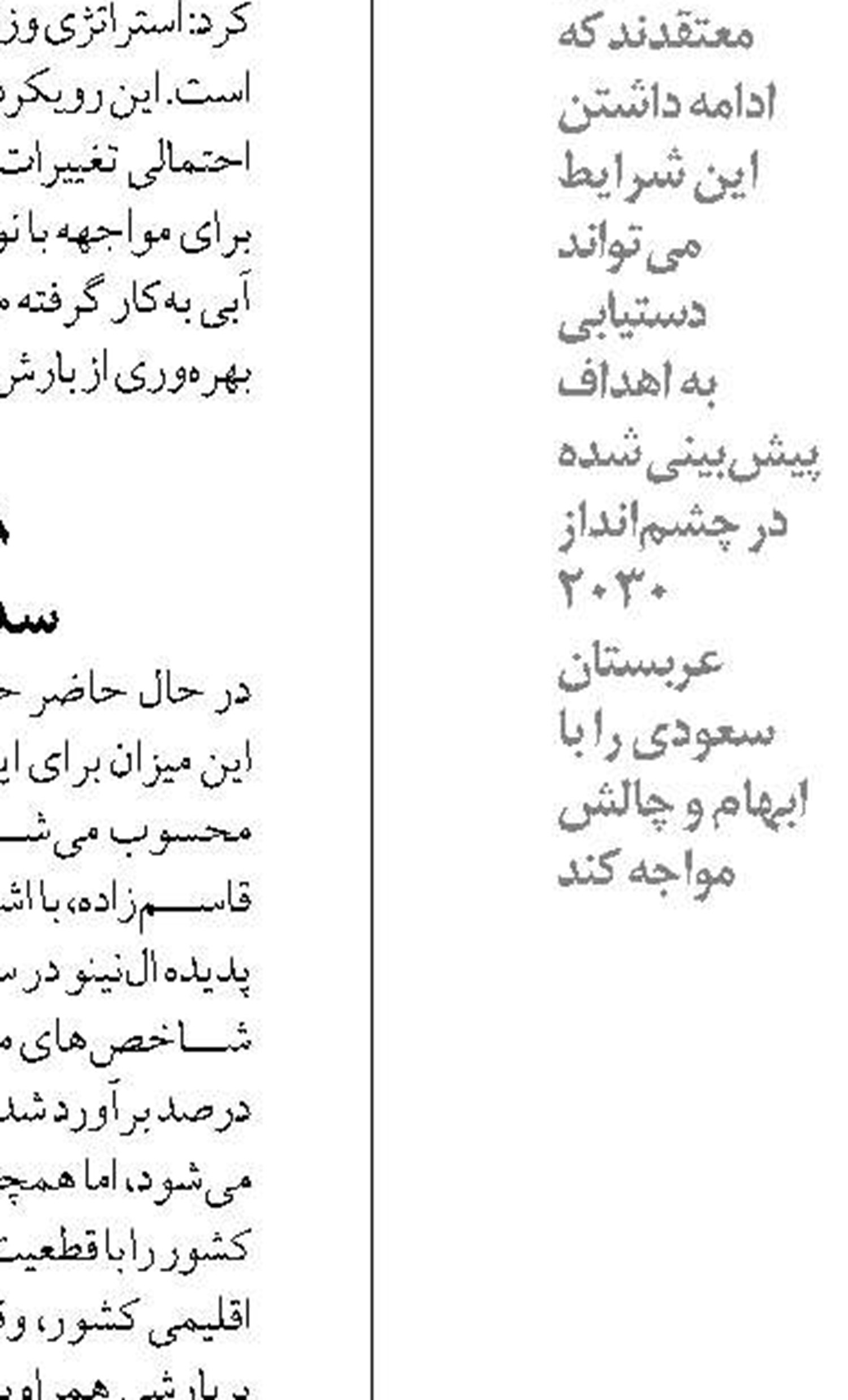 ذخایر سوخت مایع برای جبران کمبود گاز مطلوب است